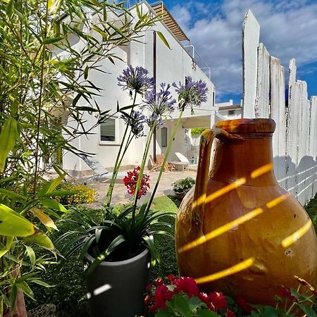 Casa Mila White Villa Marina di Cerveteri Eksteriør billede