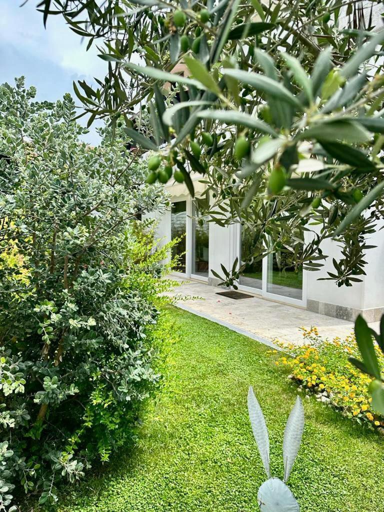 Casa Mila White Villa Marina di Cerveteri Eksteriør billede
