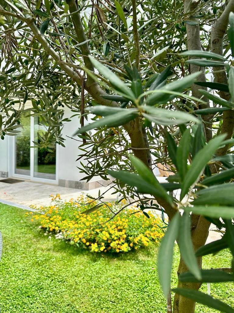 Casa Mila White Villa Marina di Cerveteri Eksteriør billede